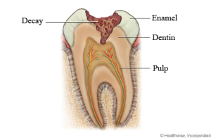 Dentistry_Neurology_Psychiatry